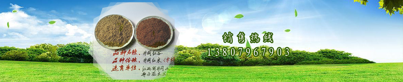 創(chuàng)想生活  暢翔未來(lái)